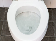 Cách xử lý bồn cầu nhà vệ sinh xả nước bị trào ngược