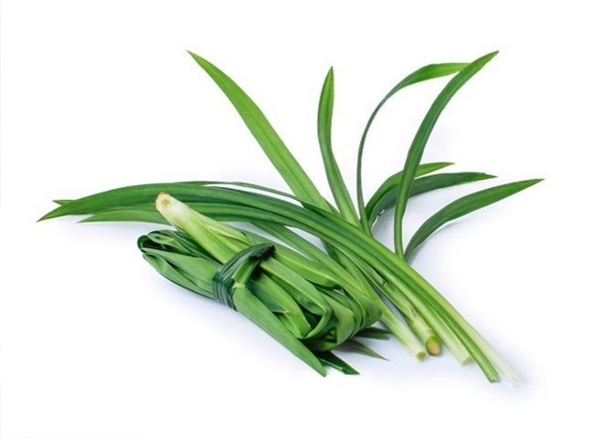 D&ugrave;ng l&aacute; dứa khử m&ugrave;i cần phải đ&uacute;ng c&aacute;ch