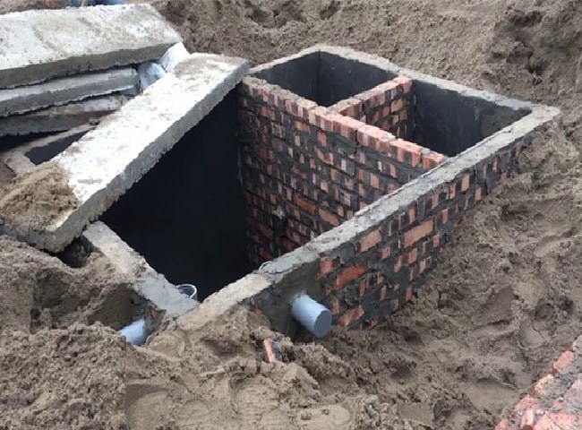 Cây cỏ, bụi rậm xung quanh xanh tốt bất thường là dấu hiệu hầm cầu bị đầy