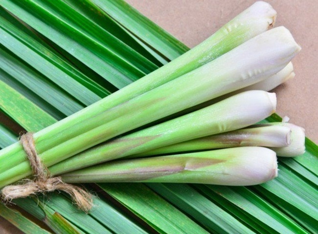 Khử m&ugrave;i h&ocirc;i bồn cầu nh&agrave; vệ sinh bằng củ sả